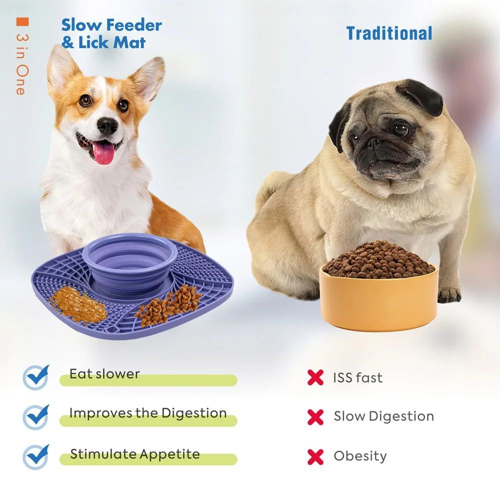KFX-0236349 Non-Slip Slow Feeder Puzzle Bowl for Small and Medium Dogs and Cats