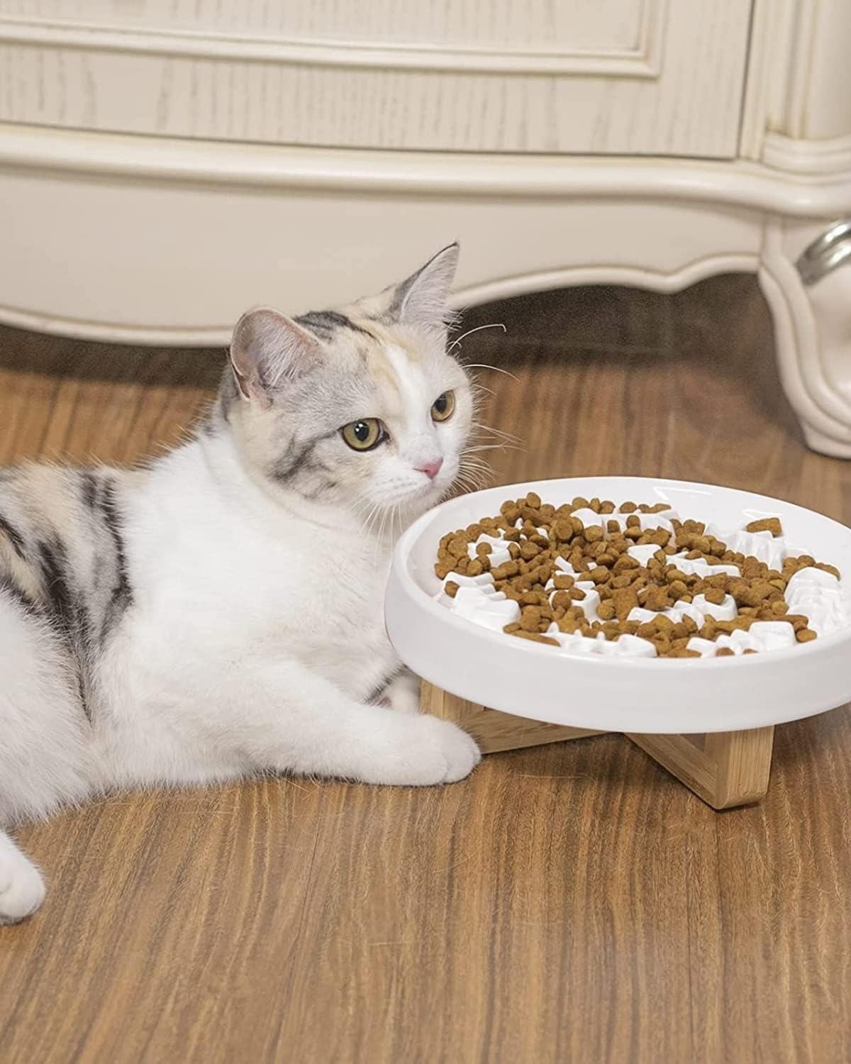 KFX-0240317 Ceramic Slow Feed Pet Bowl for Healthy Eating - Ideal for Cats and Small Dogs