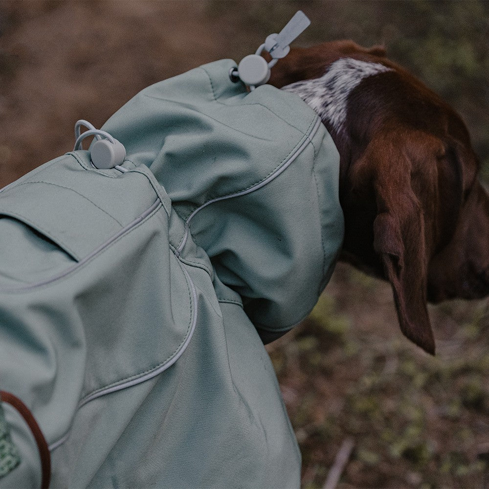 KFX-0245565 Waterproof and Windproof Soft Shell Jacket for Dogs in Basil Green and Iced Coffee Brown