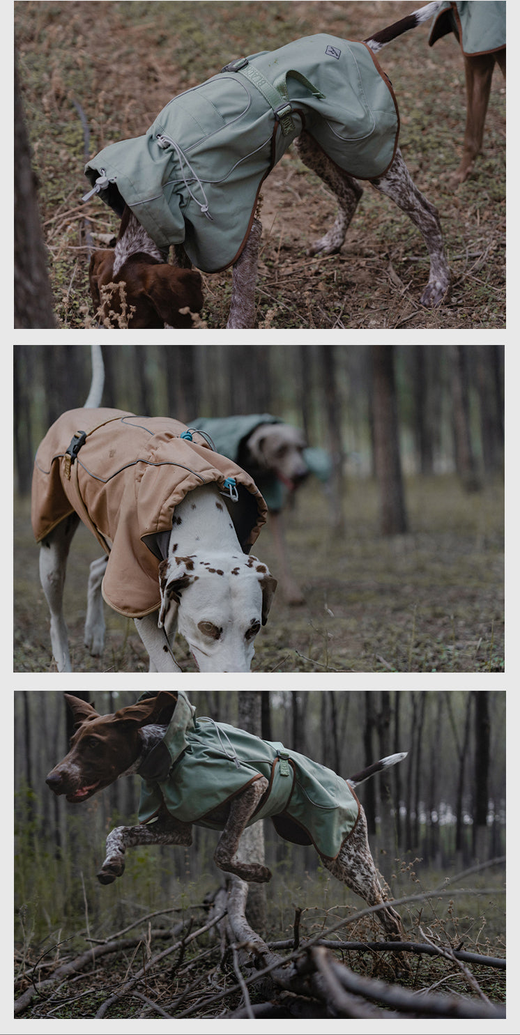 KFX-0245565 Waterproof and Windproof Soft Shell Jacket for Dogs in Basil Green and Iced Coffee Brown