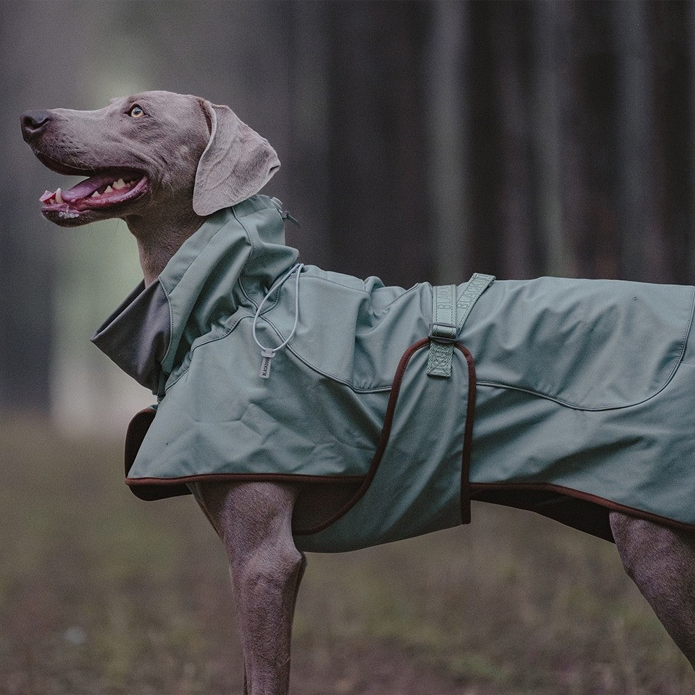 KFX-0245565 Waterproof and Windproof Soft Shell Jacket for Dogs in Basil Green and Iced Coffee Brown
