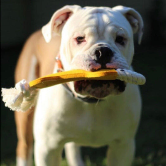 KFX-0246717 Knot Pet Toy in Bone Shape - Durable Felt for Chewing and Dental Health