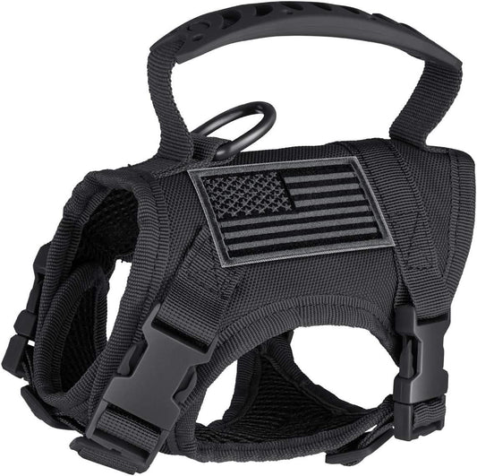 KFX-0248509 Adjustable Cat Chest Harness with Leash in Multiple Colors
