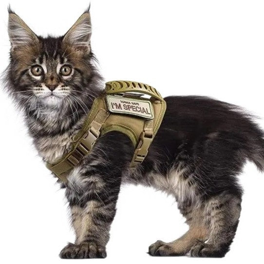 KFX-0248509 Adjustable Cat Chest Harness with Leash in Multiple Colors