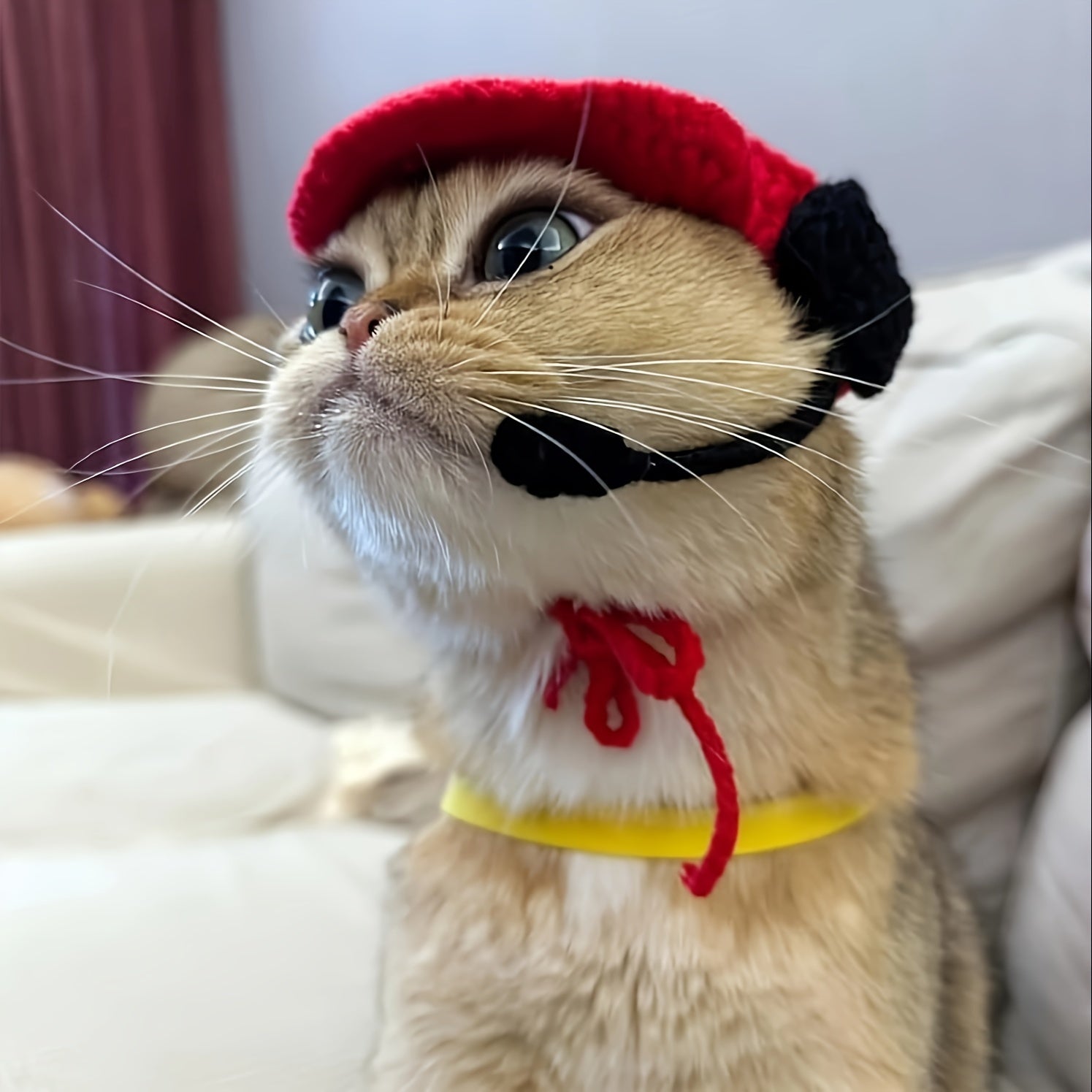 KFX-0249149 Handmade Cotton Knitted Chef Hat and Sweater Set for Small to Medium Cats and Dogs