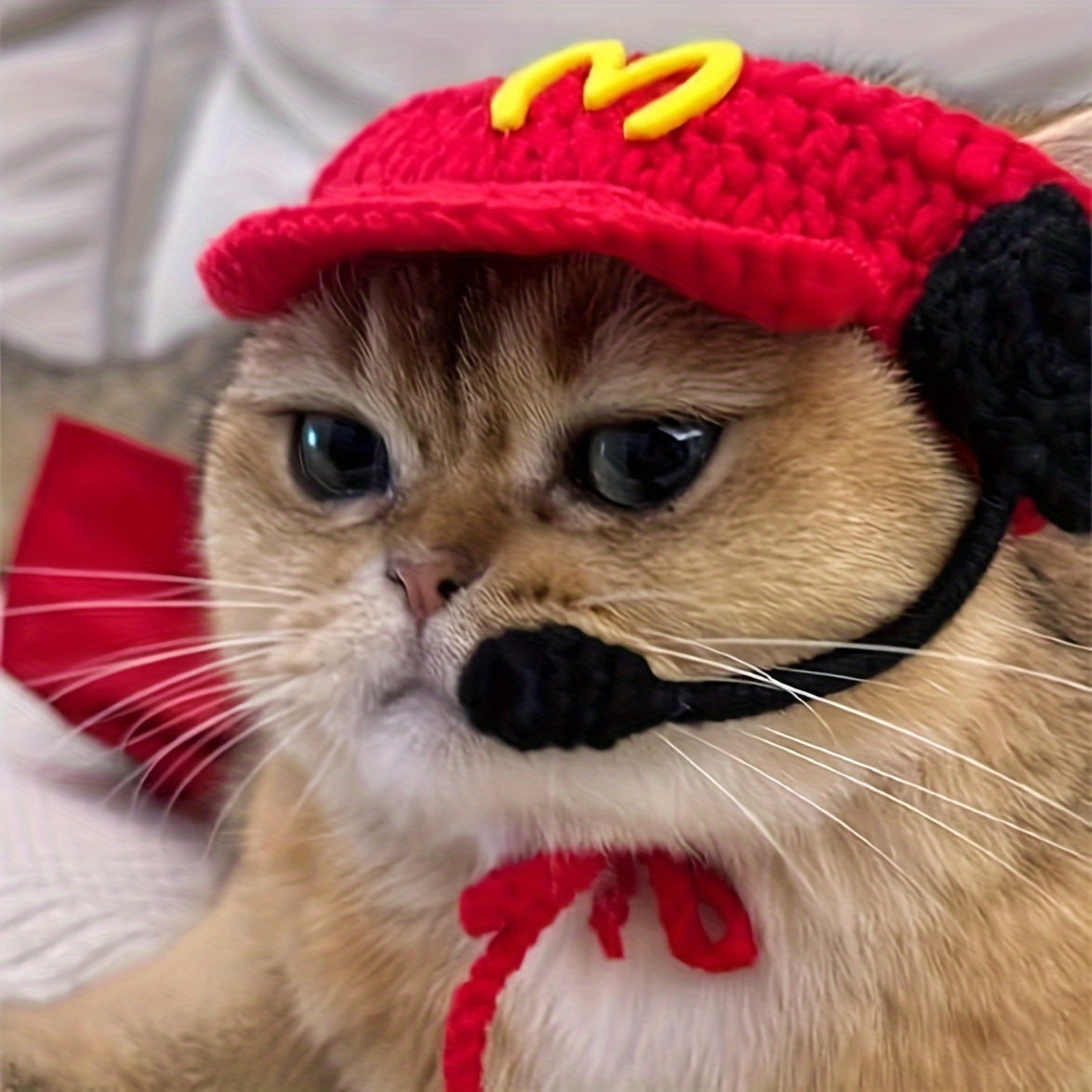 KFX-0249149 Handmade Cotton Knitted Chef Hat and Sweater Set for Small to Medium Cats and Dogs