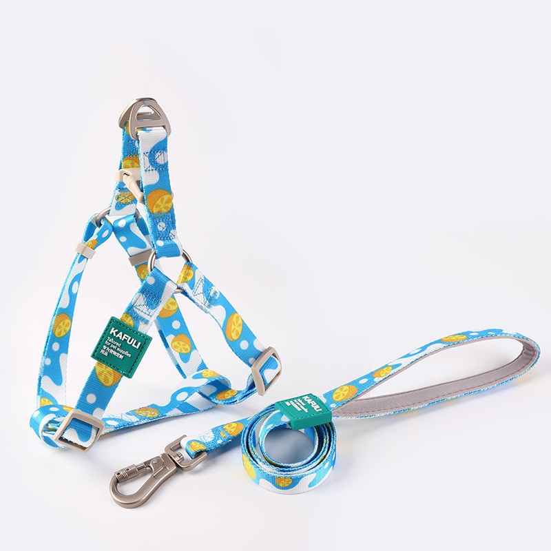 KFX-0251453 Pet Supplies Adjustable Dog Vest with Traction Rope – Available in Blue, Pink, Green