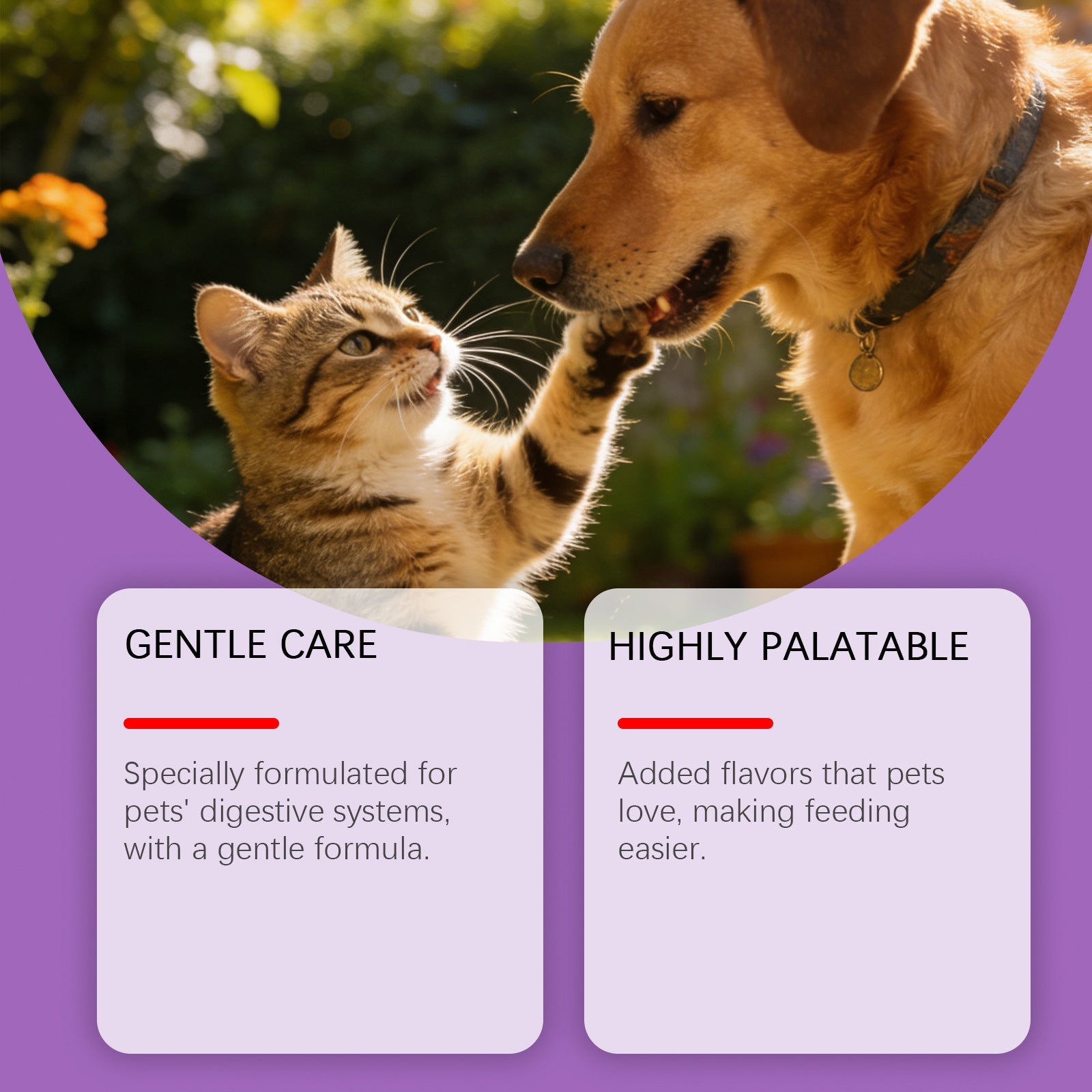 KFX-0257469 Probiotic Powder for Pet Digestive Health with Chicken and Prebiotic Ingredients