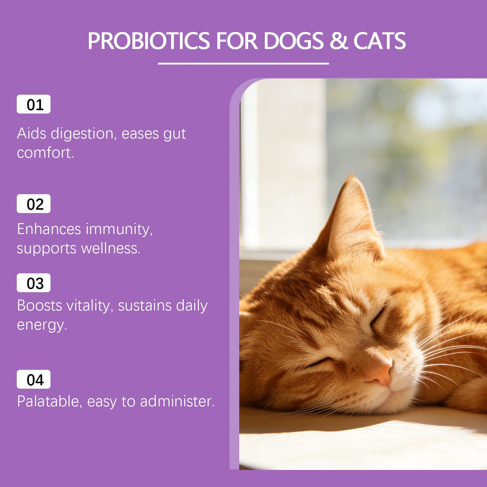 KFX-0257469 Probiotic Powder for Pet Digestive Health with Chicken and Prebiotic Ingredients