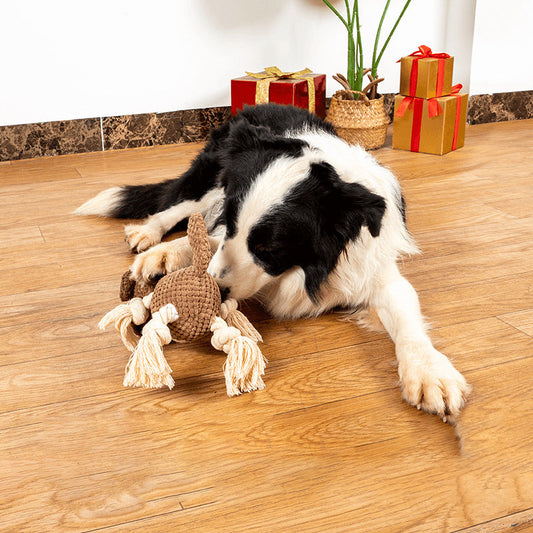 KFX-0259005 Large Interactive Plush Dog Toy with Sound Paper – Bite-Resistant Molar Chew for Puppies and Dogs