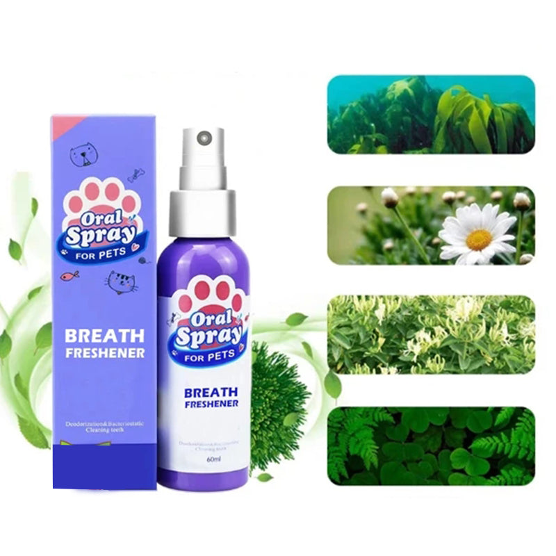 KFX-0259261 Pet Oral Care Deodorant Spray for Fresh Breath and Healthy Teeth