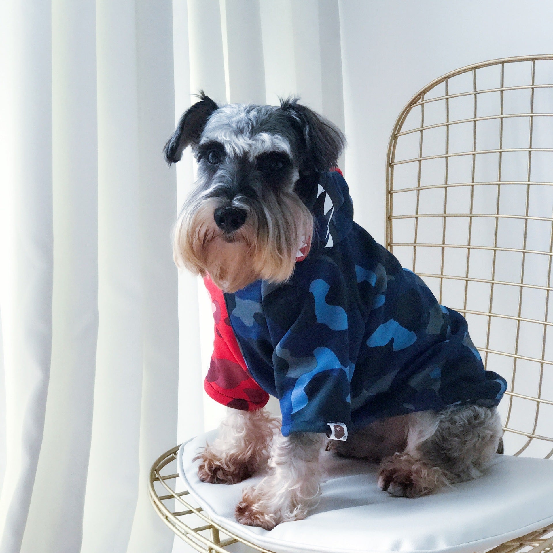 KFX-0259773 Thickened Cotton Dog Sweater for Autumn and Winter
