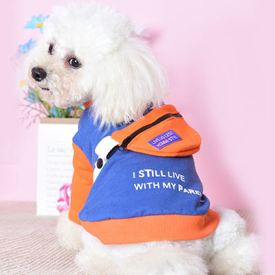 KFX-0262461 Casual Two-Legged Small Dog Sweater with Detachable School Bag in Black and Blue