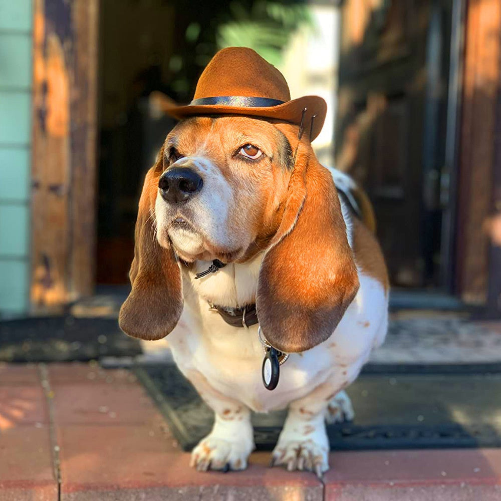 KFX-0263741 Brown and Black Cowboy Hat for Cats and Dogs - Casual Non-Woven Fabric, Size S/M, Four Seasons