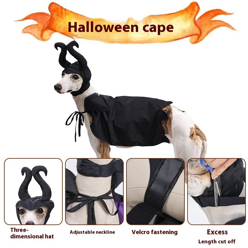 KFX-0264765 Black Halloween Dog Cloak and Hat Costume for Pets