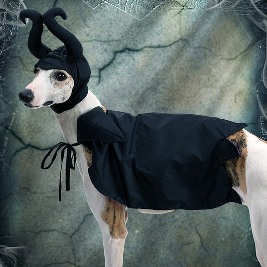 KFX-0264765 Black Halloween Dog Cloak and Hat Costume for Pets