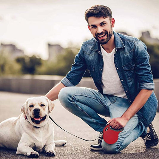 KFX-0266941 Reflective Automatic Retractable Dog Leash - Durable Nylon and ABS Material, 3 Colors Available