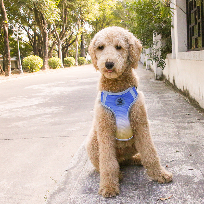 KFX-0272189 Gradient Color Reflective Dog Chest and Back Strap - Adjustable Polyester Harness