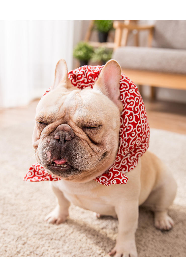 KFX-0280893 Cute Casual Pillow Scarf for Pets - Soft Polyester Cotton Pet Bag