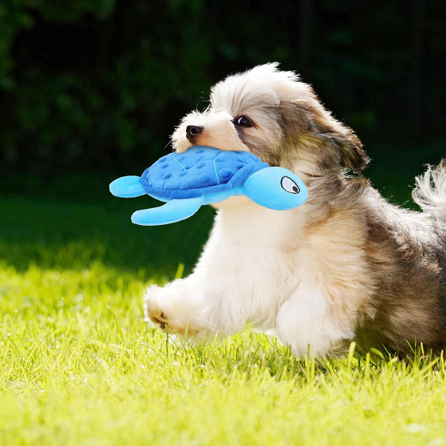 KFX-0285885 Durable Squeaky Sea Turtle Plush Toy for Small Dogs - Interactive Chew Toy for Teething and Anxiety Relief