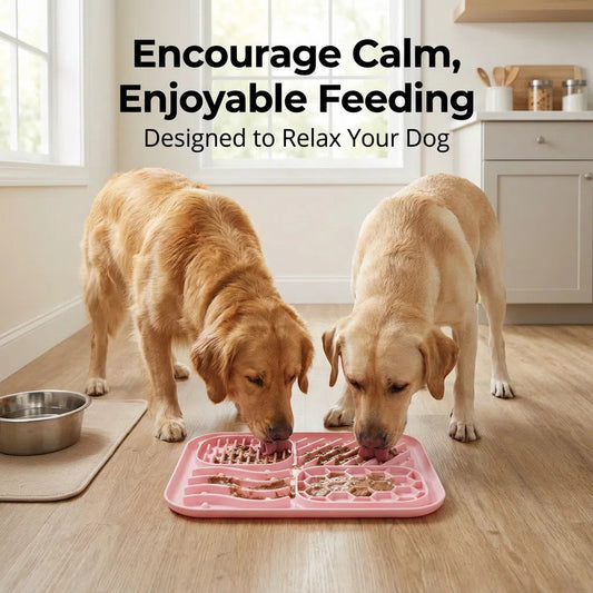 KFX-0288189 Square Silicone Slow Feeder Bowl with Suction Cup for Dogs - Four Colors Available