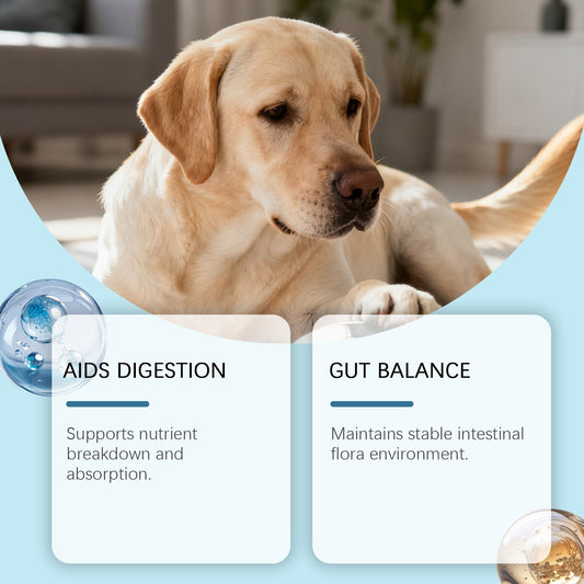 KFX-0290237 Dog Intestinal Health Soft Granules with Probiotics and Pumpkin Seed Extract