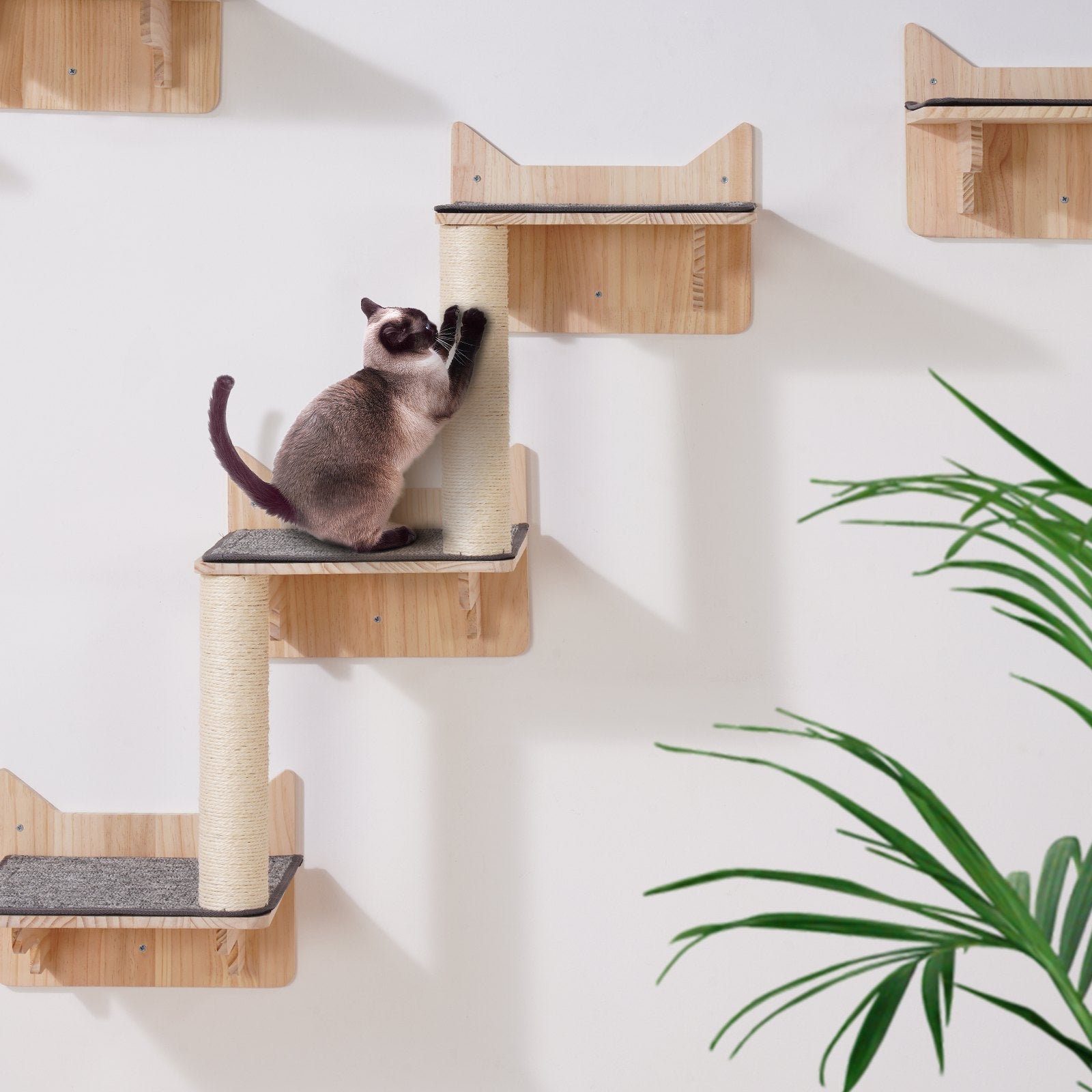 KFX-0293437 Wall Mounted Cat Furniture Set with Jumping Boards, Nest, and Tree for Climbing and Playing