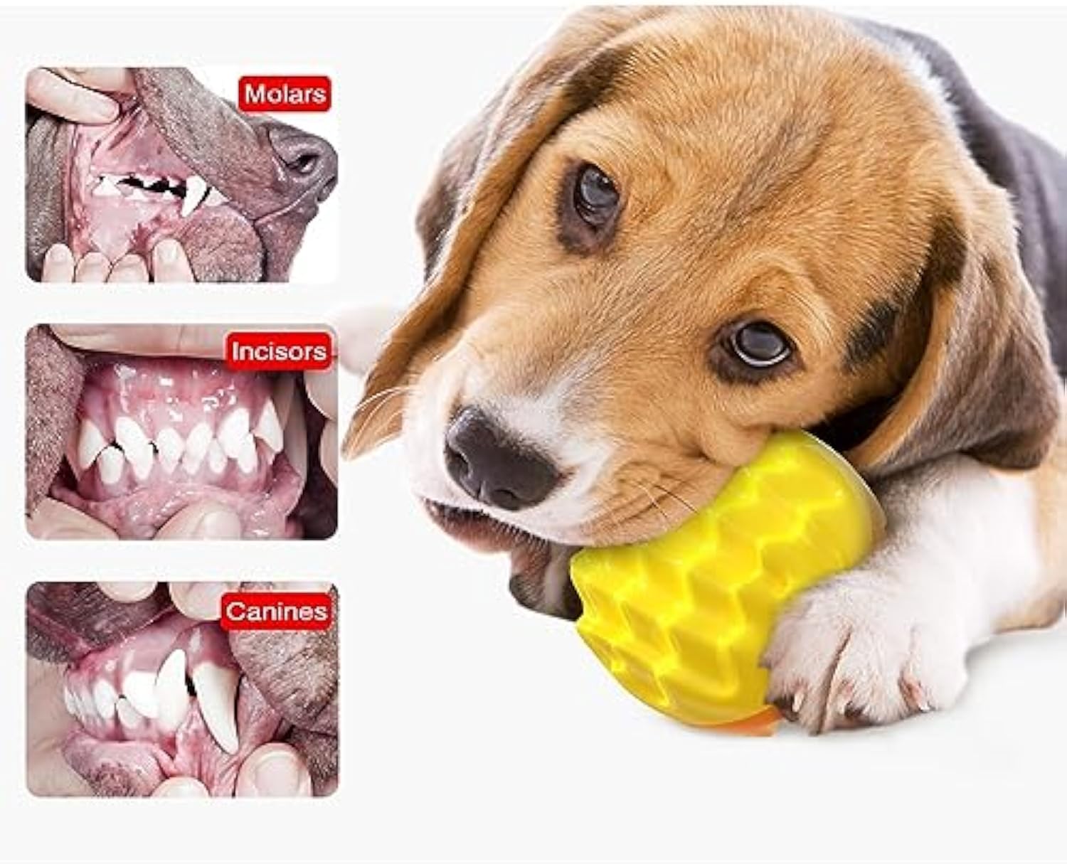 KFX-0297405 Durable Squeaky Dog Ball Toy for Aggressive Chewers - Dental Care & Mental Enrichment for All Breeds