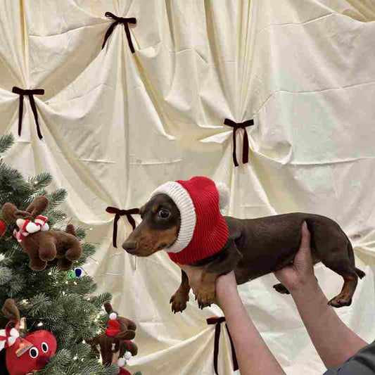 KFX-0297533 Warm Plush Dachshund Hat with Scarf for Pets - Little Red Riding Hood Style