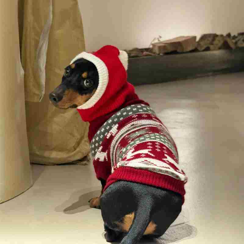 KFX-0297533 Warm Plush Dachshund Hat with Scarf for Pets - Little Red Riding Hood Style