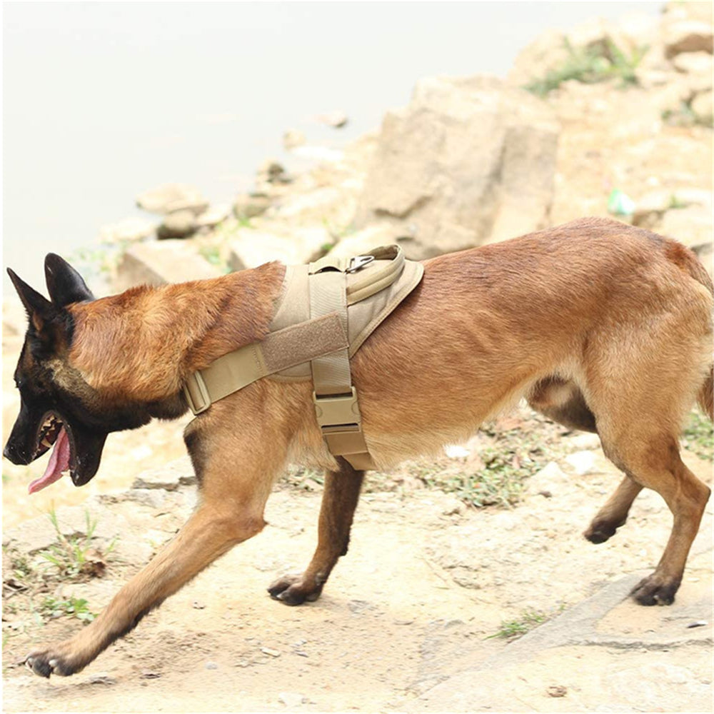 KFX-0299197 Lightweight Tactical Training Dog Vest, Waterproof Nylon K9 Chest Strap, Adjustable with Padded Lining