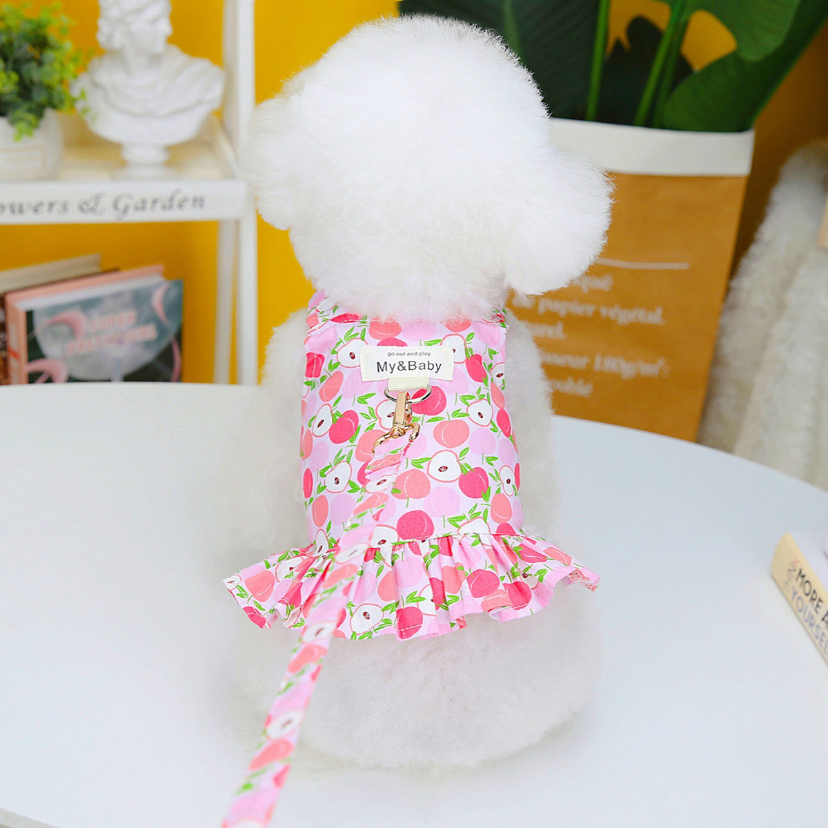 KFX-0300477 Fruit-Themed Dog Skirt with Leash – Cotton Princess Style in Strawberry, Pineapple, and Apple