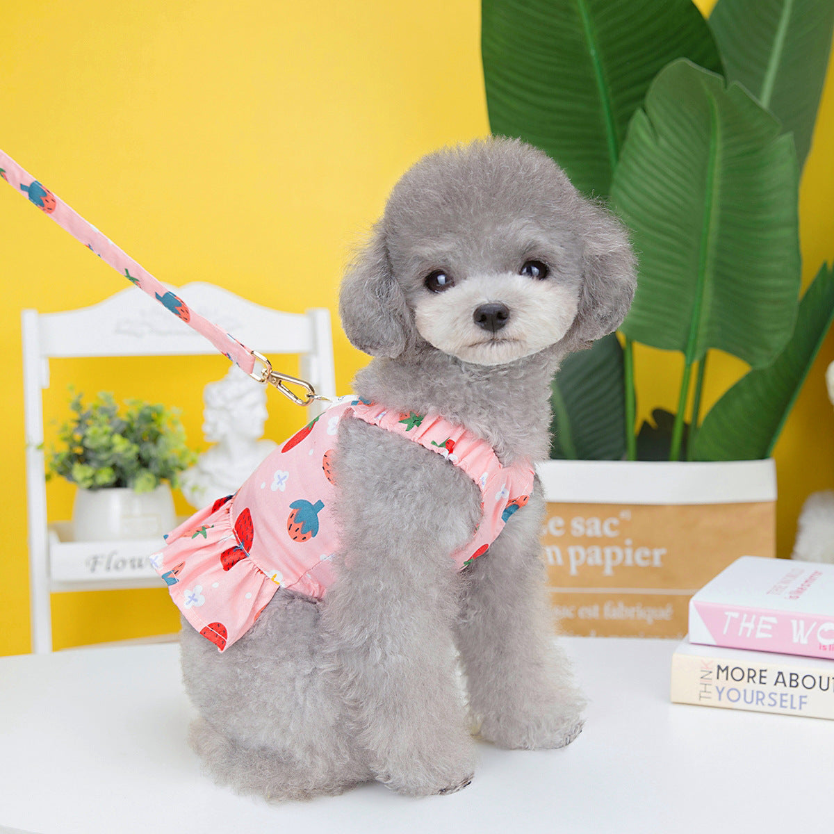 KFX-0300477 Fruit-Themed Dog Skirt with Leash – Cotton Princess Style in Strawberry, Pineapple, and Apple