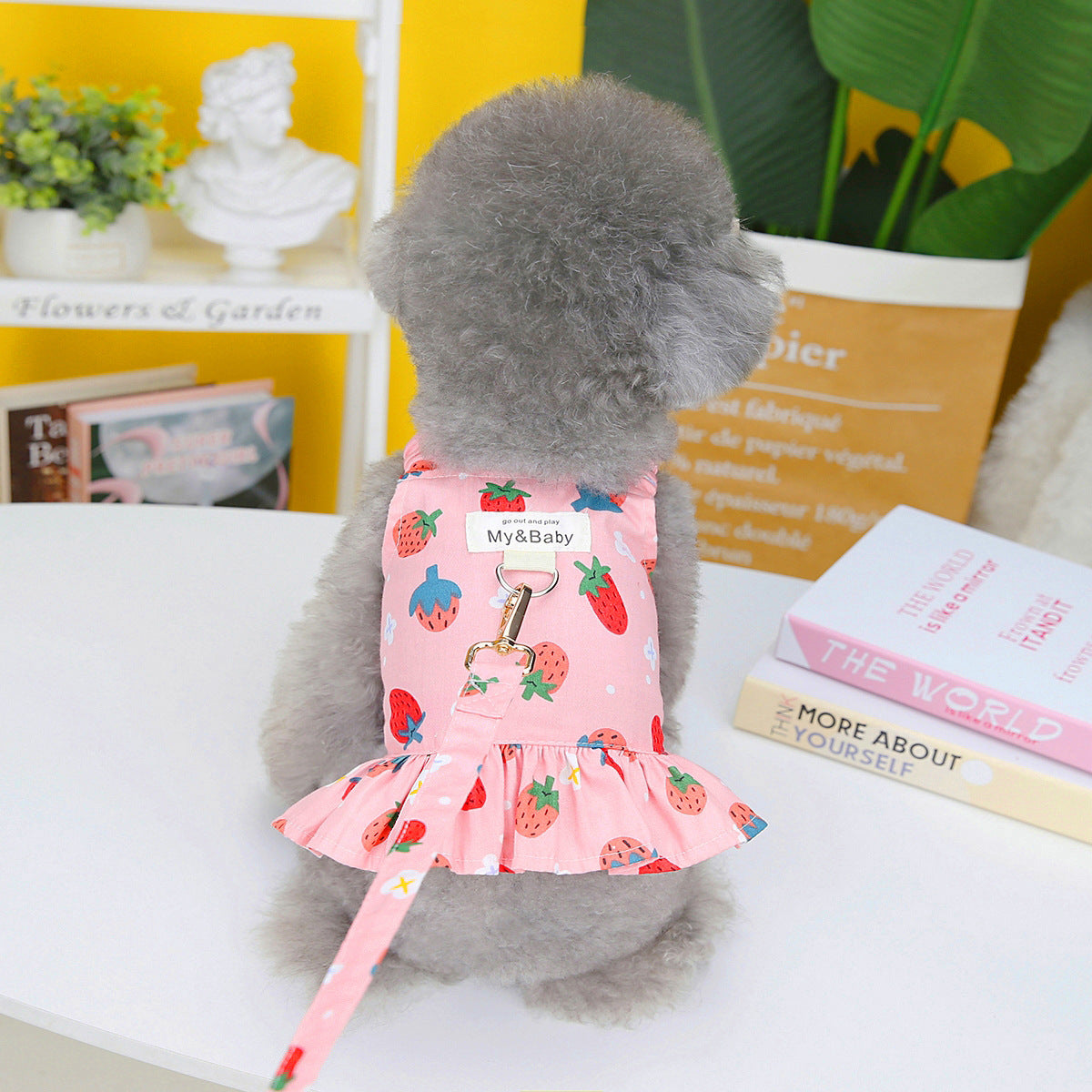 KFX-0300477 Fruit-Themed Dog Skirt with Leash – Cotton Princess Style in Strawberry, Pineapple, and Apple