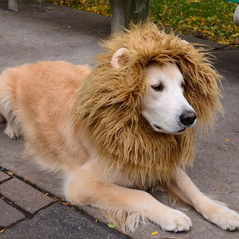KFX-0301757 Cozy Pet Lion Mane Wig Costume for Cats and Dogs - Adjustable Winter Apparel