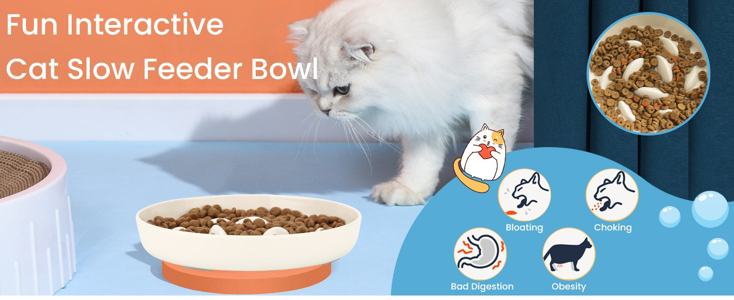 KFX-0301885 Cat Slow Feeding Bowl with Raised Edge, Non-Slip Base, and Easy-Clean Design