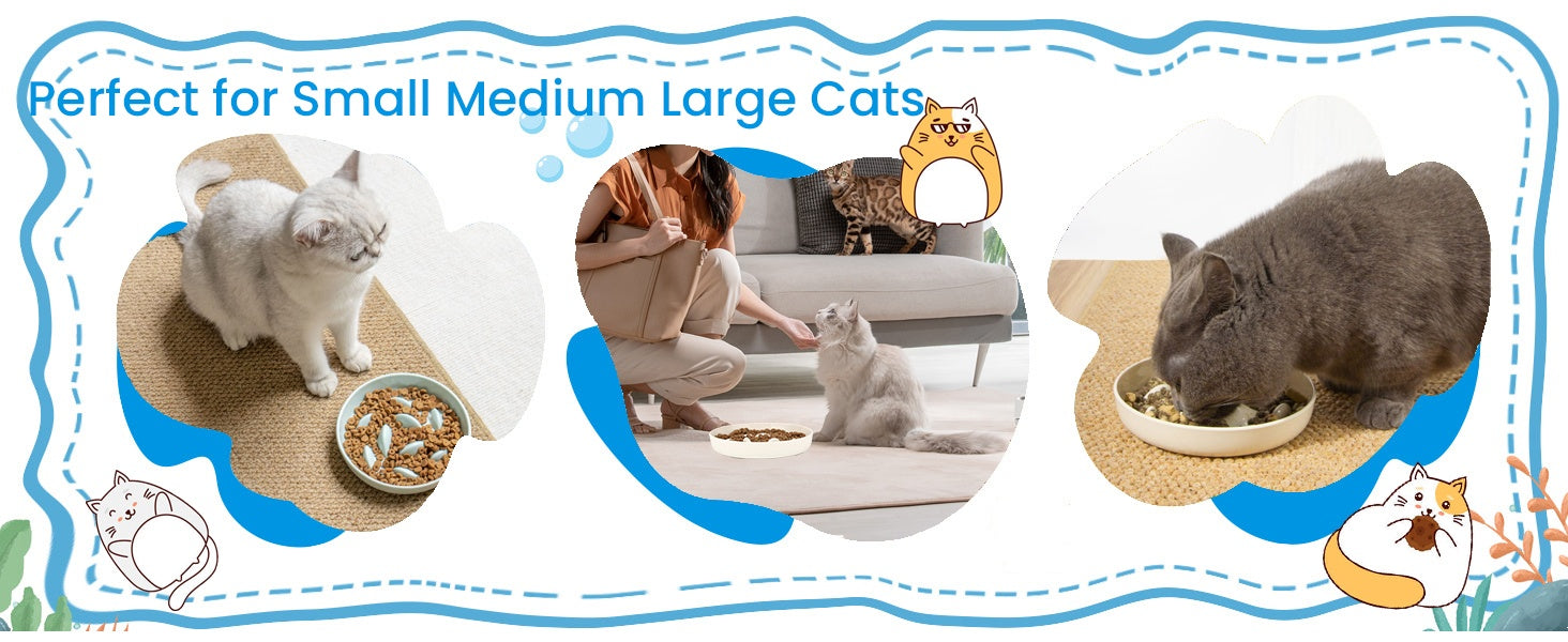 KFX-0301885 Cat Slow Feeding Bowl with Raised Edge, Non-Slip Base, and Easy-Clean Design