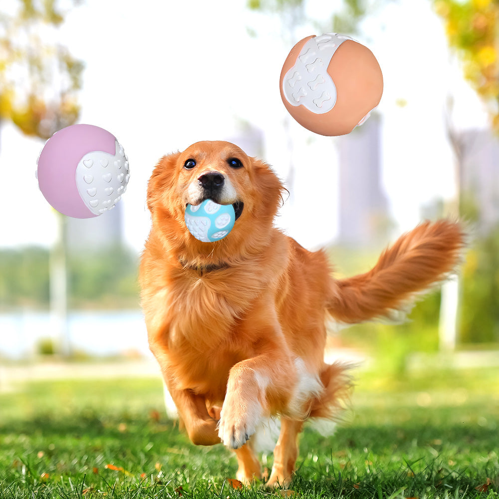 KFX-0304317 Durable Non-Toxic Dog Toy Balls for Chewing and Teeth Cleaning - 12 Pack High Bounce Rubber Balls