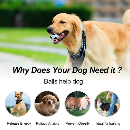 KFX-0304317 Durable Non-Toxic Dog Toy Balls for Chewing and Teeth Cleaning - 12 Pack High Bounce Rubber Balls
