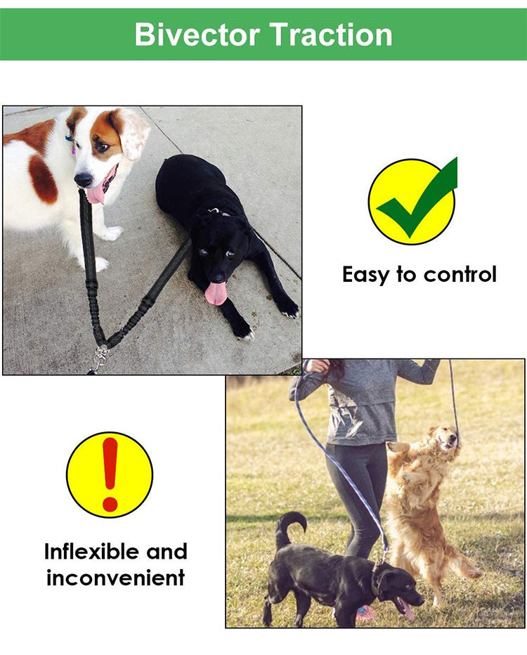 KFX-0305469 Dual-Headed Nylon Dog Leash for Convenient Pet Control