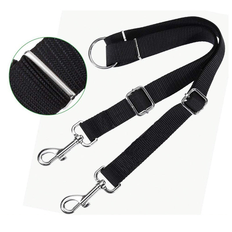 KFX-0305469 Dual-Headed Nylon Dog Leash for Convenient Pet Control