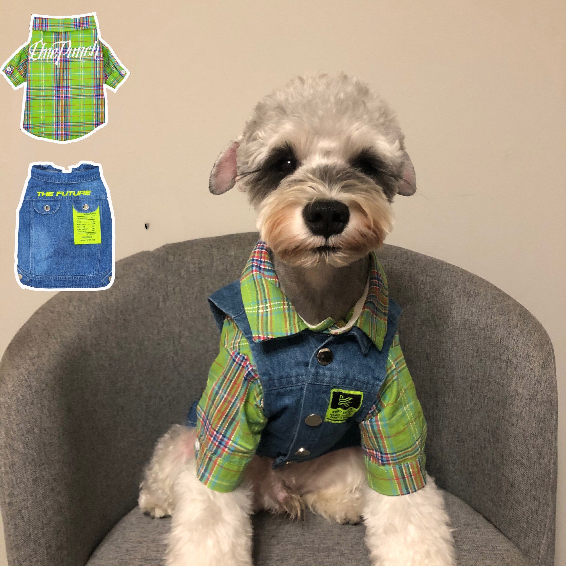 KFX-0306237 Light Blue Denim Vest & Green Plaid Shirt Set for Small to Medium Dogs and Cats