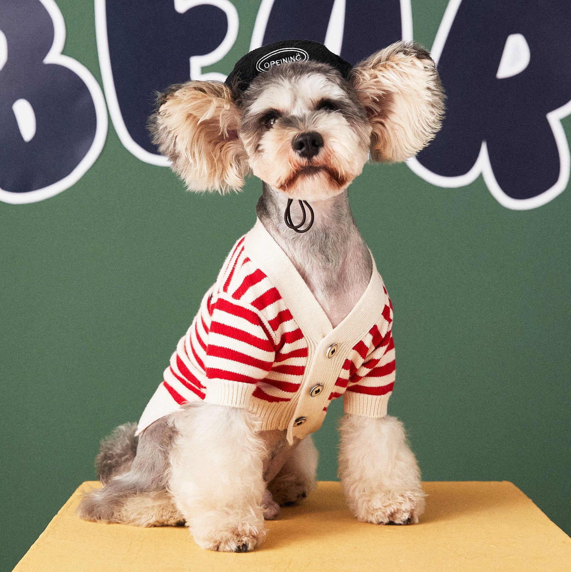 KFX-0309437 Striped Cotton Sweater Cardigan for Small Dogs - Black and Red Options Available