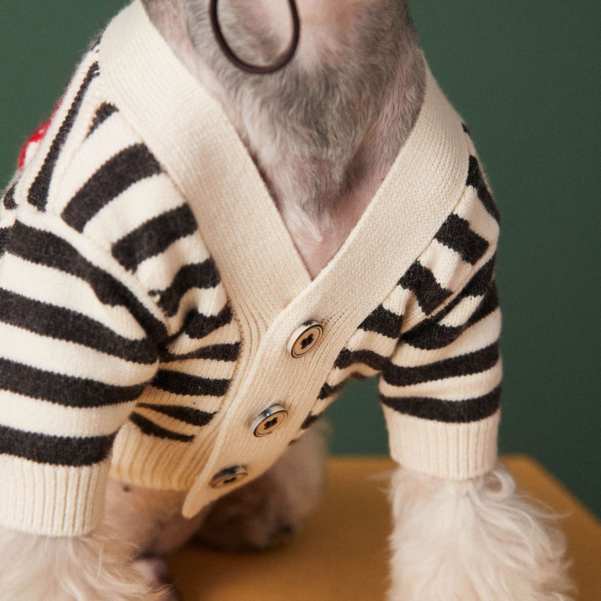 KFX-0309437 Striped Cotton Sweater Cardigan for Small Dogs - Black and Red Options Available