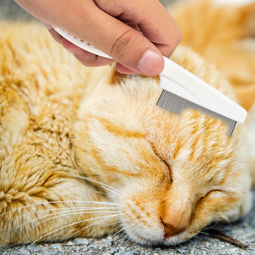 KFX-0341693 Multifunctional Pet Comb for Tear Stain Removal and Grooming - Stainless Steel, Ergonomic Design for Small Dogs and Cats