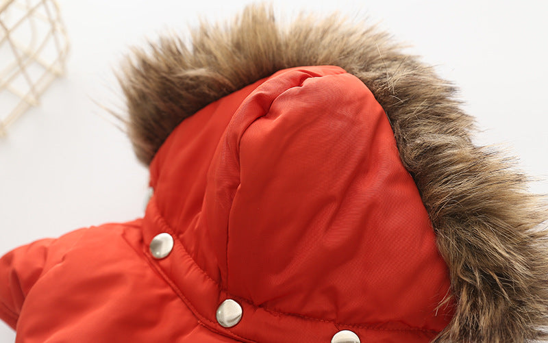 KFX-0342589 Hooded Cotton Down Jacket for Dogs - Warm and Stylish in Blue, Beige, Red