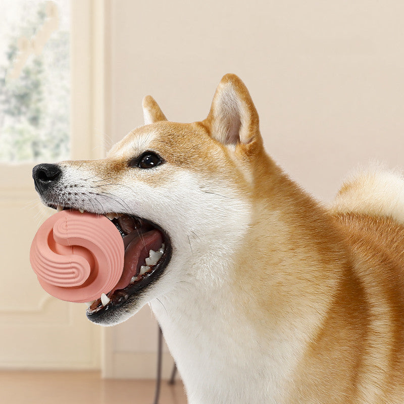 KFX-0350781 Durable L-Shaped and S-Shaped Rubber Dog Chew Balls for Playtime Fun