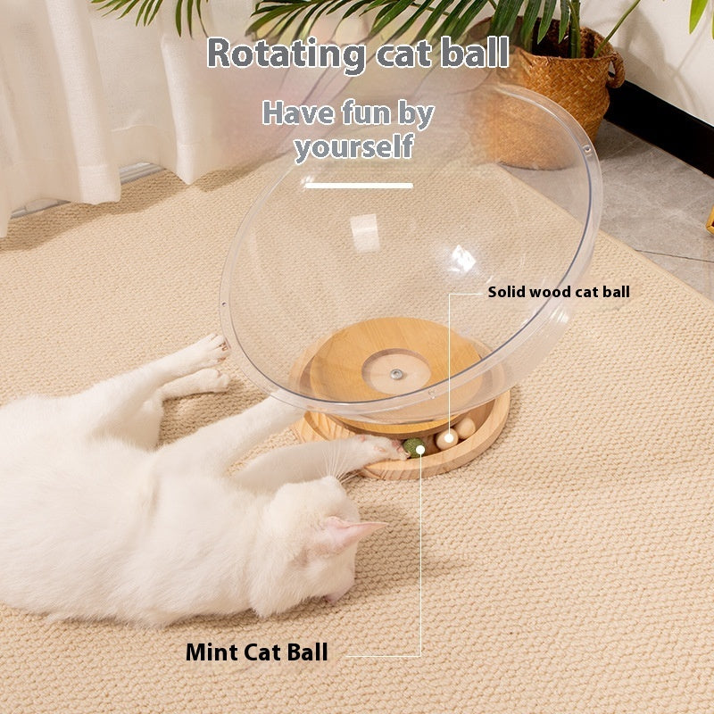 KFX-0353981 Transparent Acrylic Cat Space Capsule Bathtub - Multiple Sizes Available