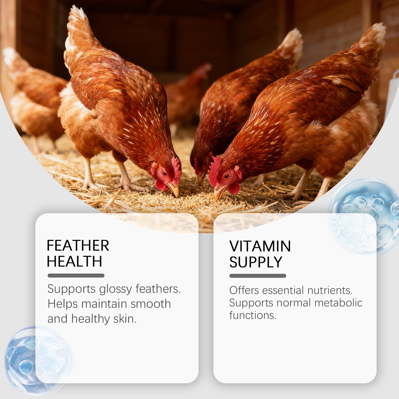 KFX-0355773 Nutritional Support Tablets for Poultry and Small Animals - 60 Count