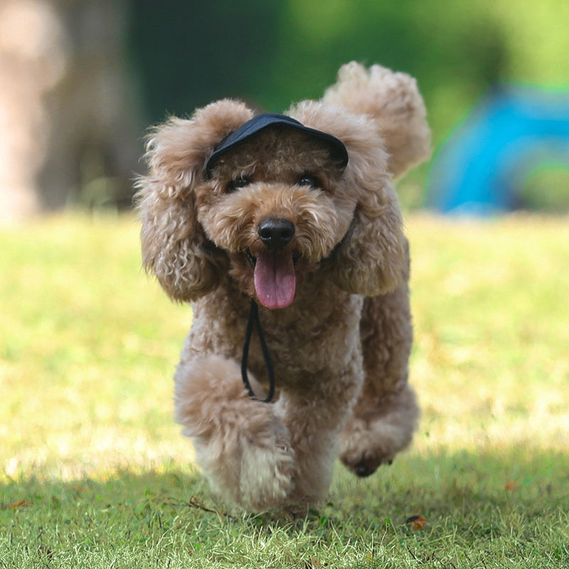 KFX-0359869 Adjustable Dog and Cat Baseball Cap - Wear-resistant Canvas with Velcro Design